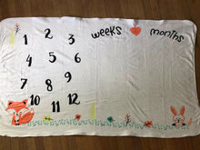Load image into Gallery viewer, Baby Milestone Photo Blanket Fleece Multi Use