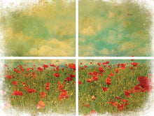 Load image into Gallery viewer, Field of Flowers - Transfer