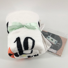 Load image into Gallery viewer, Baby Milestone Photo Blanket Fleece Multi Use