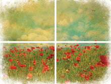 Load image into Gallery viewer, Field of Flowers - Transfer
