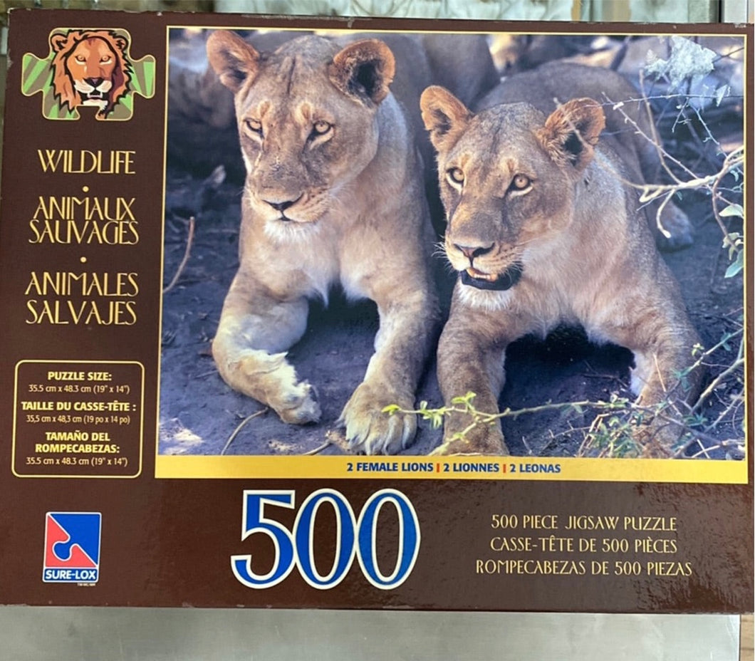 Puzzle 500 pc Wildlife 2 Female Lions
